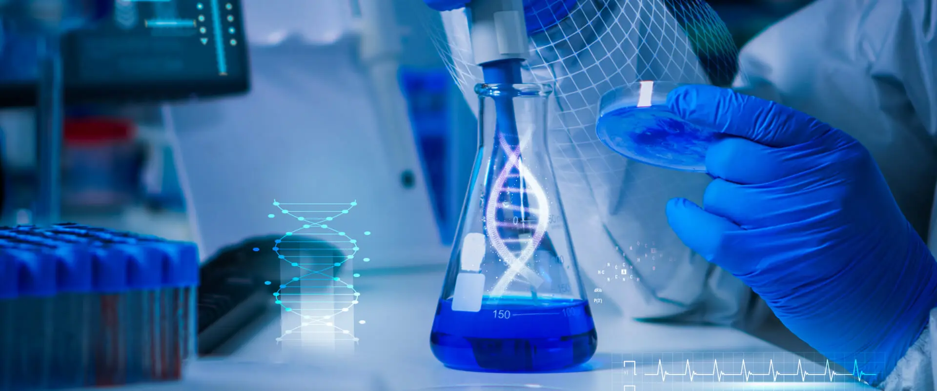 Comprehensive Metabolic Panel